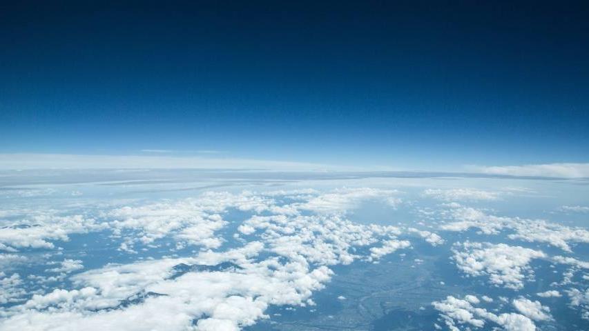 英伟达|爱占小便宜的用户是家电业新红利