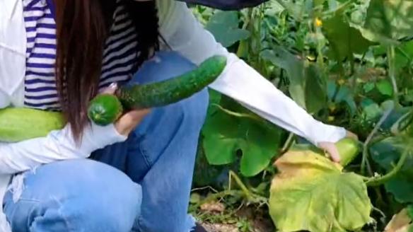 王昆|王晓晨蹲大棚里摘菜！大口撸串手上钻戒抢眼，网友喊话张翰道歉