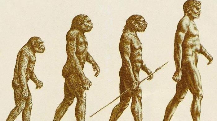 科学家：人类的祖先做了件“丑事”，才导致人类开始容易患上疾病
