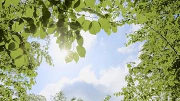 为什么说“春怕风，夏怕暑，秋怕井，冬怕冻”？