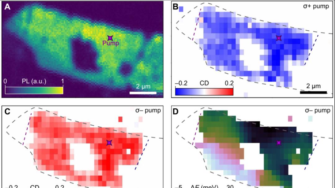 Science Advances：研究人员使用光来控制纳米级的磁场