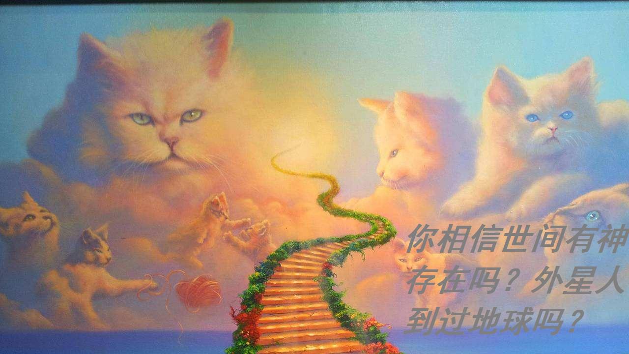 你相信世间有神存在吗？外星人到过地球吗