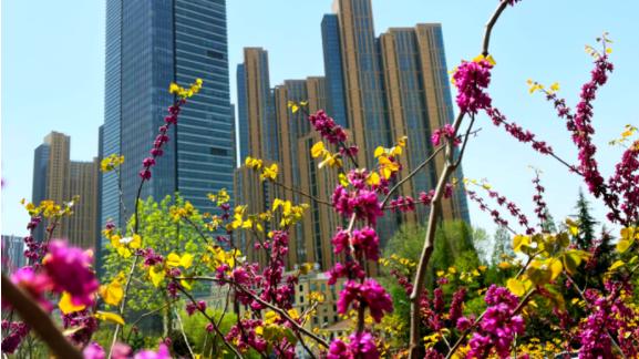 楼市|三万套五百亿！六月青岛楼市咋嗨成这样？
