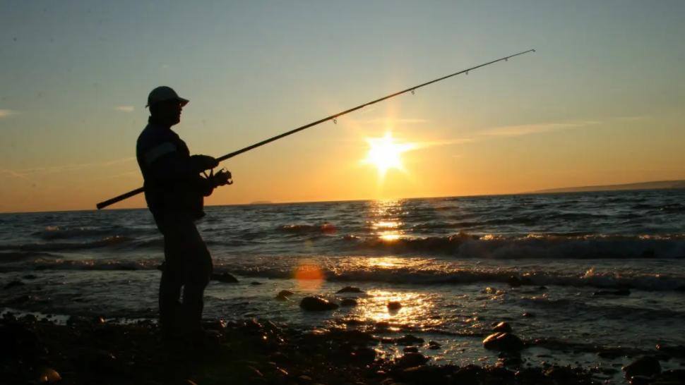|上市公司研发钓鱼辅助设备，为鱼获而钓鱼，这种高科技能接受么？