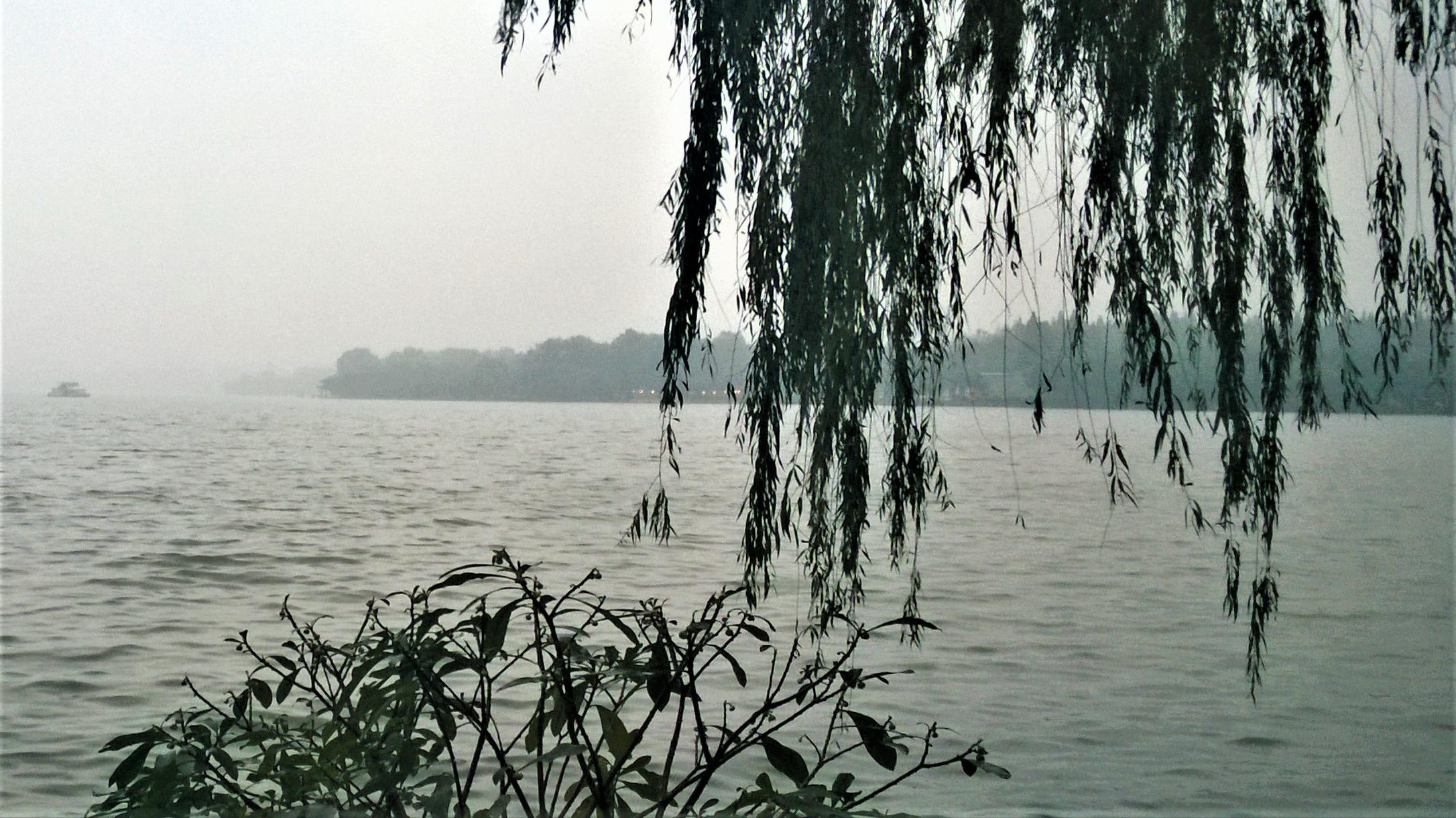 华润|看开得太早，没那么好