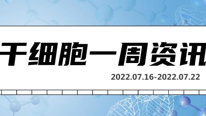 干细胞一周资讯（07.16-07.22）