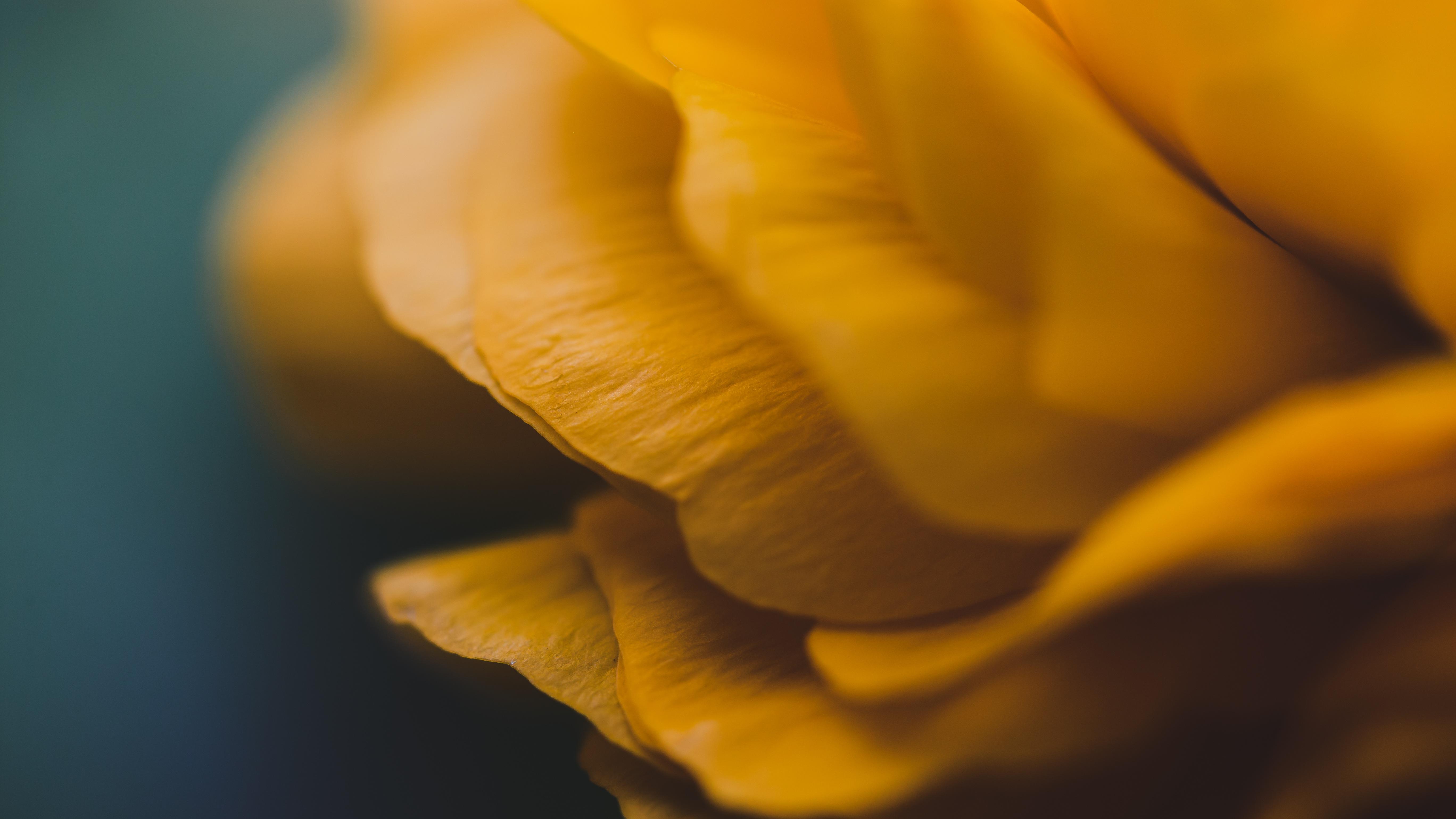 职场故事|职场老人含泪总结5大经验！