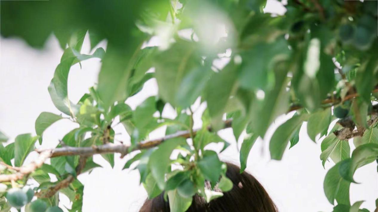 秦岚|秦岚风情不做作，颦笑如花有魅力