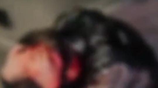 河南三门峡，一名年轻男子遭到众人围殴全身是血，警方：正在调查