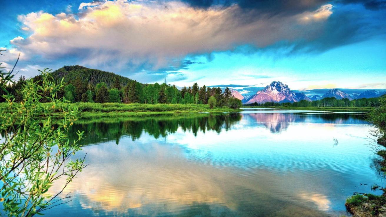 |领导给你分批给你，你要先给谁，不给谁？