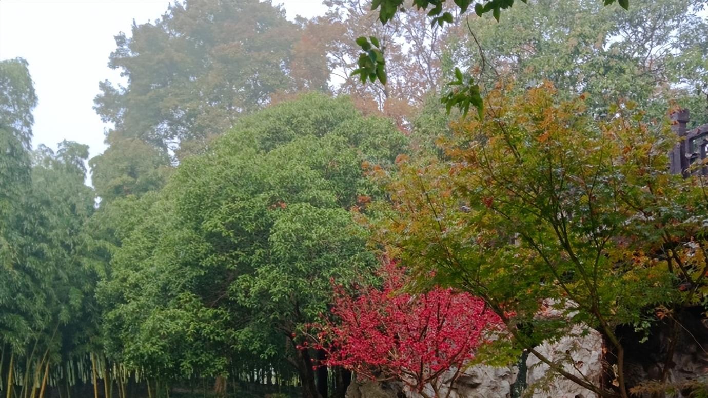 栖霞山|看秋色、品秋味、赏秋景，为秋天送行