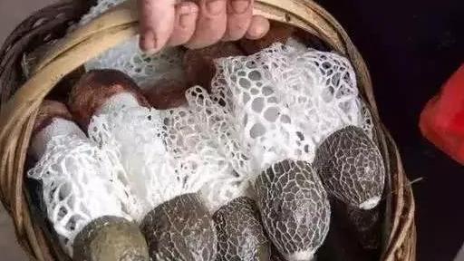 银耳|中国6大顶级的食物，你若是全吃过，请允许我叫你声土豪