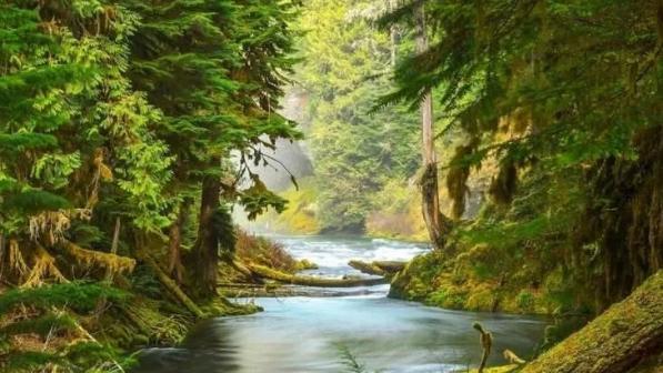 刘德华|测测生肖猴人，何时能好起来