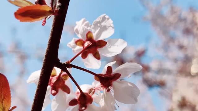 跳槽|在公司死磕10 年的人，后来都怎么样了？