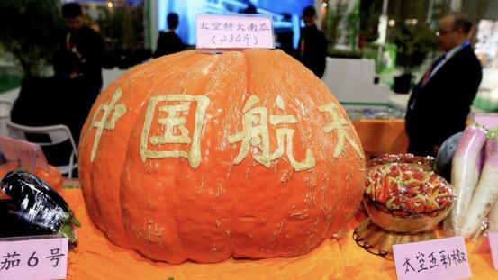 太空育种市场远超2000亿，为何要携带种子上太空？对人体是否安全？