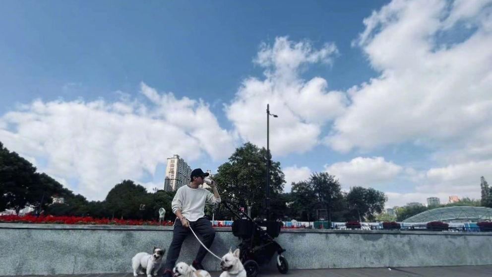 邓超|孙俪晒老公近况，邓超在家写毛笔字遛狗，网友：提前过上老年生活