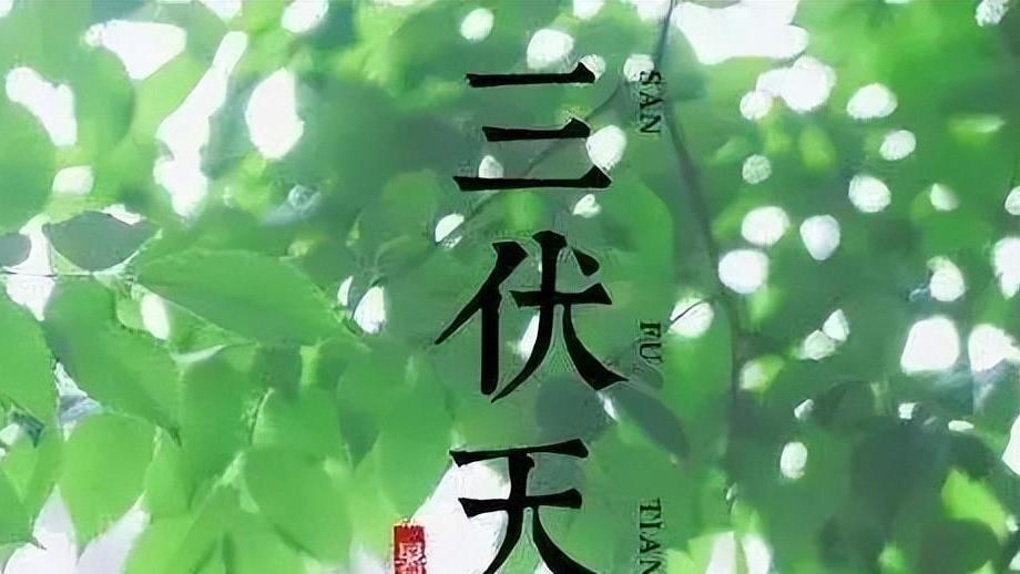 “入伏吃3宝，苦夏无烦恼”！今年哪天入伏？3宝指的啥？建议了解