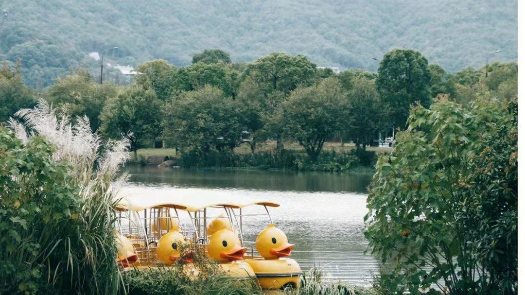 秋霞圃|除了西湖，杭州最值得去的地方