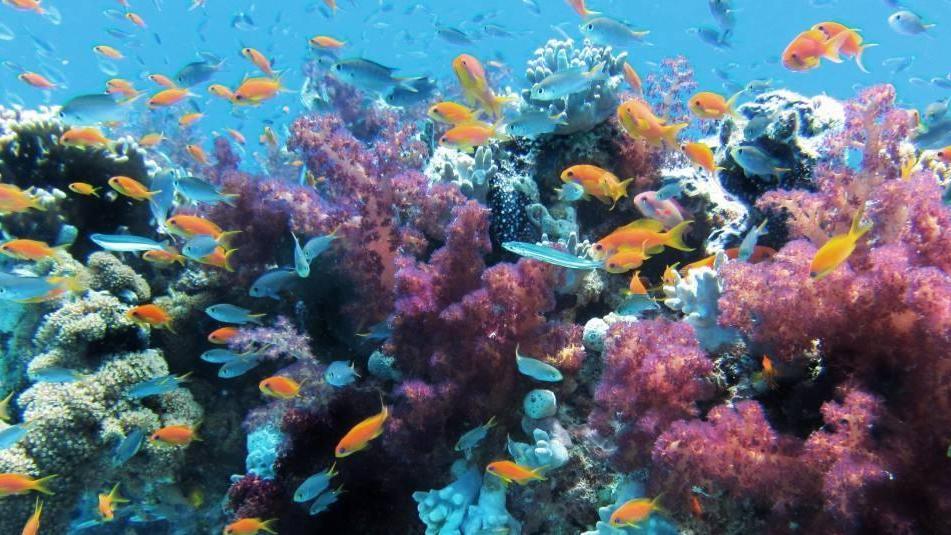 地球上从前没有人类，第一个“人”是如何来的？并不是类人猿进化