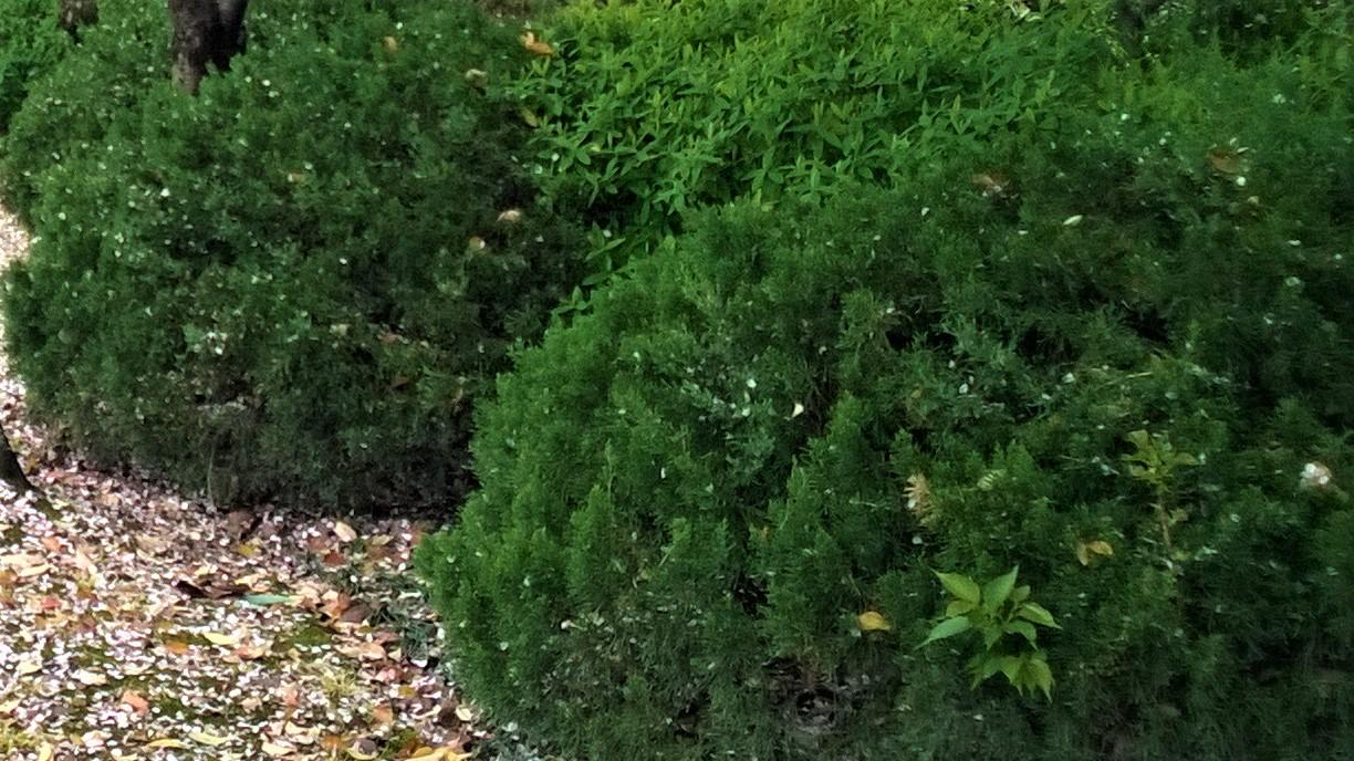 |客户丢了，怎么办哪？