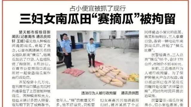 湖北：3名妇女拿麻袋偷瓜，在瓜田中进行摘瓜比赛，事后被抓判刑