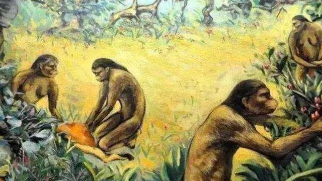 人类起源人类祖先是猿猴还是鱼？带你了解人类千万年演化历程