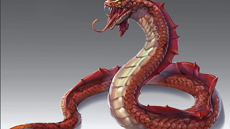 传说中的“鸡冠蛇”，毒性比眼镜蛇还强，现实中真的存在吗？