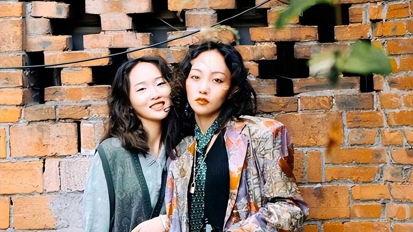 邵雨轩|抖音千万粉丝账号“疯产姐妹”散伙，真的是网上说的分账不均吗？