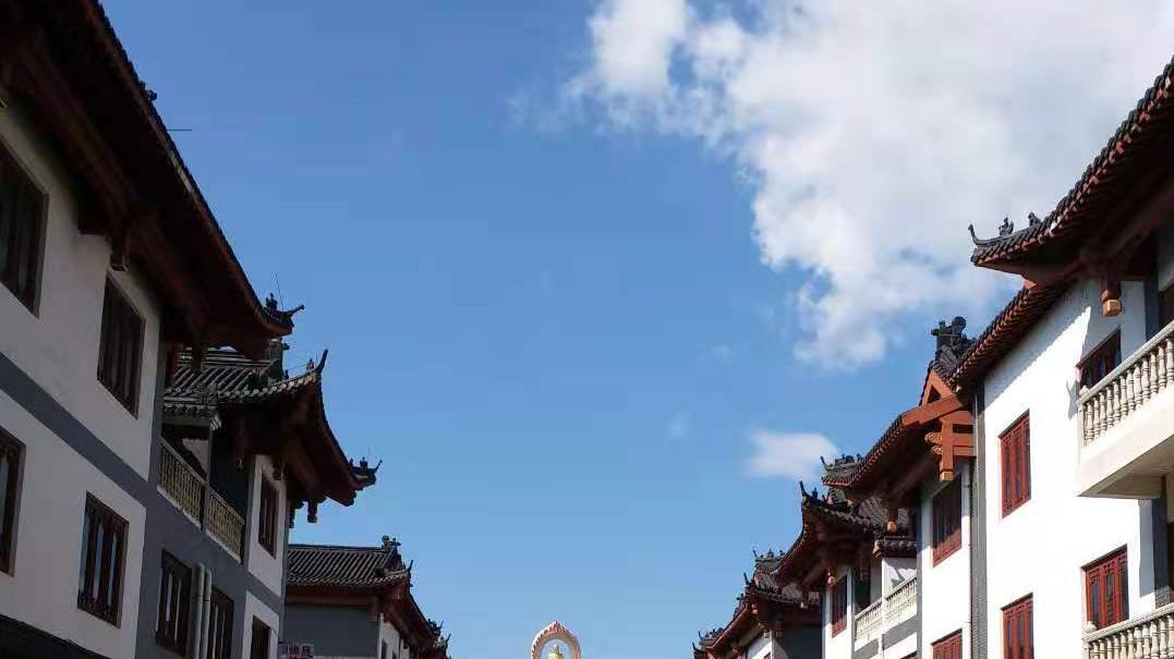 旅行|杜女士不再提及东林寺一游，要如何解释为何去九江