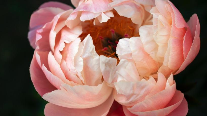 星座爱情观|这些星座，总会遇到生命中的意外