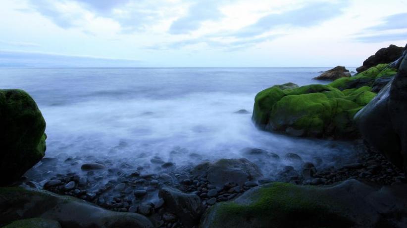 天蝎座|头脑好，人品佳，做人更有好前途的星座，什么优点都沾点边