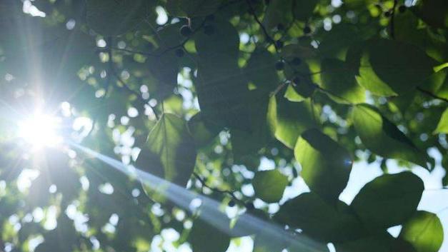 楼市|唐朝时期楼市崩盘：每平方从2000元跌到50元，朝廷为何不救市？