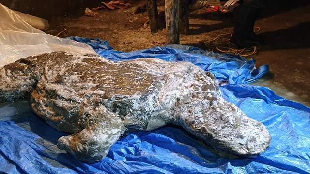 北极大火冲天频现! 隐藏的东西更可怕, 是什么? 地球潘多拉魔盒开了?