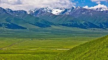 离职|如果领导提出改革，自己不想跳槽怎么办？