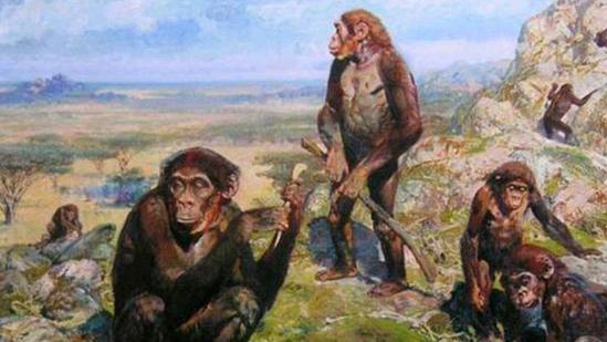 我国科学家打脸达尔文，人类不是古猿进化来的，鱼鳃就是证据