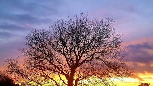 退休|做生意、当老板的5大本事、30个细节，提升你的领导力，学习下吧