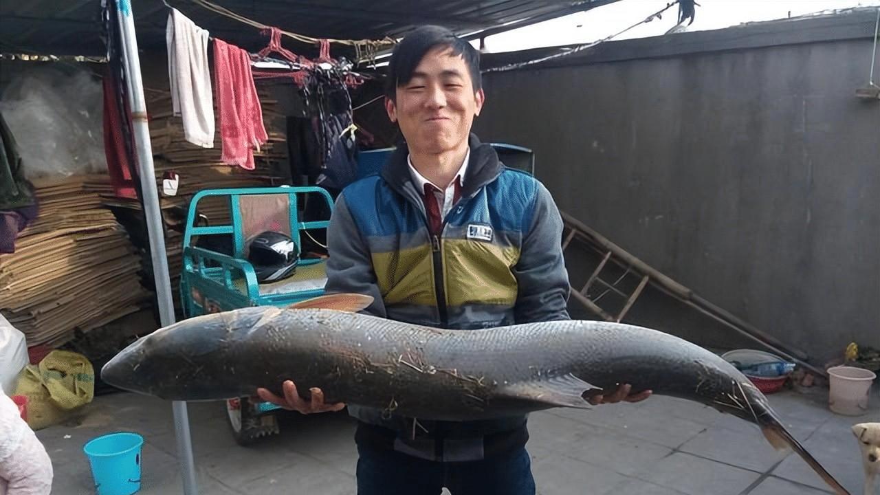 南京一男子长江钓到超大鱤鱼，收杆时摊上大事！因鱼钩超标被立案