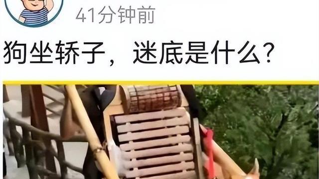 带货鸿星尔克“翻车”，小熊主动联系许妈，房子的归属定了