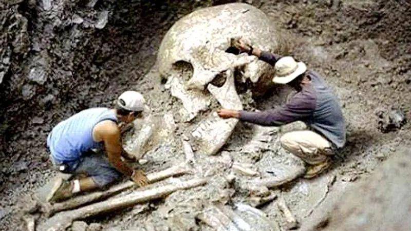 古代生物不少，如今发现一块化石都难？怎样的生物才能变成化石？