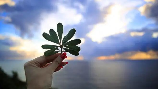 生活也能够如此的简单