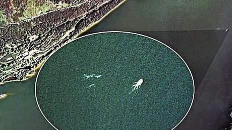 尼斯湖水怪再现？二十年来最清晰的视频：或有大型动物在水下活动