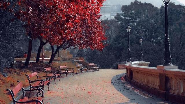 白羊座|七月中下旬，事事顺遂的星座，事业有望上升，爱情美满不愁没桃花