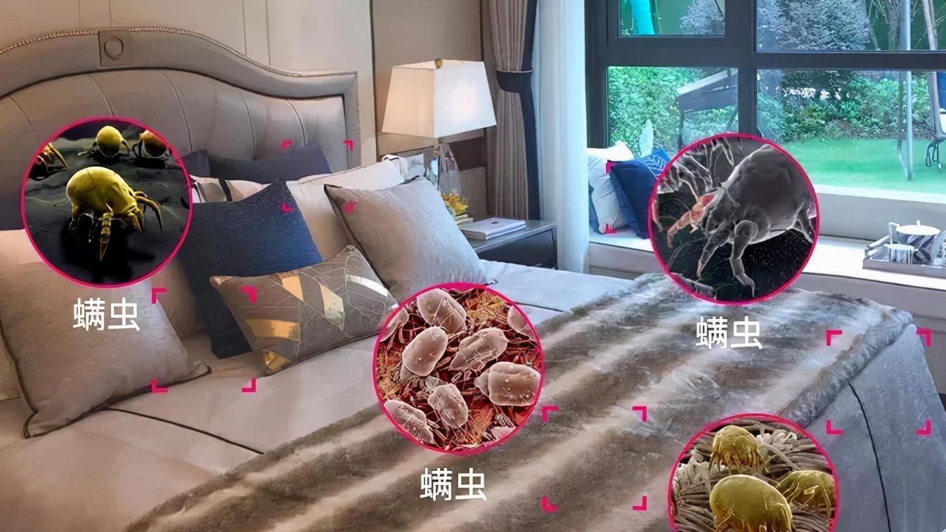 超市里“低调”的家居好物，清洁实力强，却因价格低被忽略