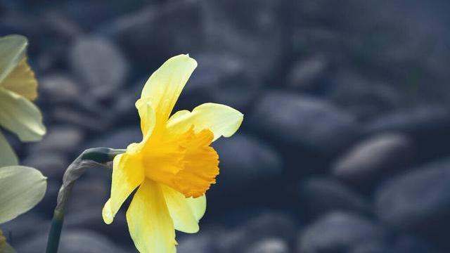 裁员潮|真正聪明的人，早就戒掉了无效社交