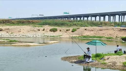 |湖北一河道露出河床，钓鱼佬和鸟儿都来了，网友：别让电工知道