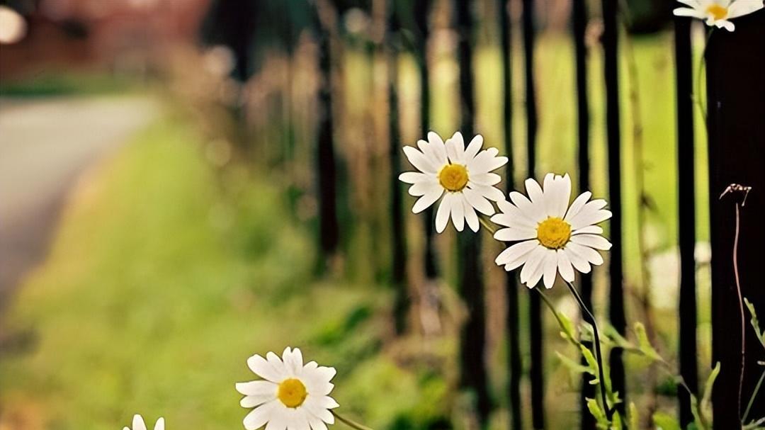 事业单位|人这辈子，最难的就是40岁至50岁这十年，中一条也很心酸