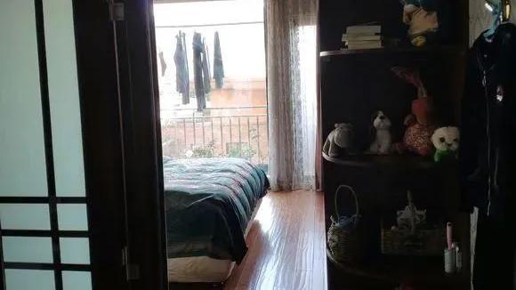 167平新房装修不算钱，老婆放入20盆绿植净化空气，下个月入住！