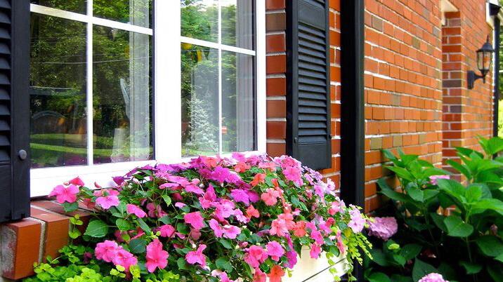 小小窗台变花园，瞬间提高家园的魅力