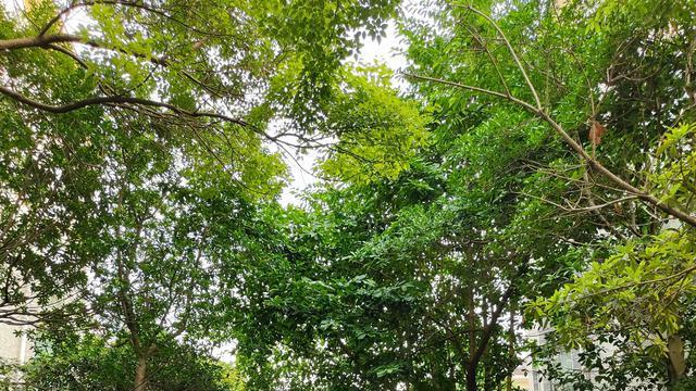 购房置业|楼市迎来新拐点？房地产重磅消息推出，一人买房全家帮还