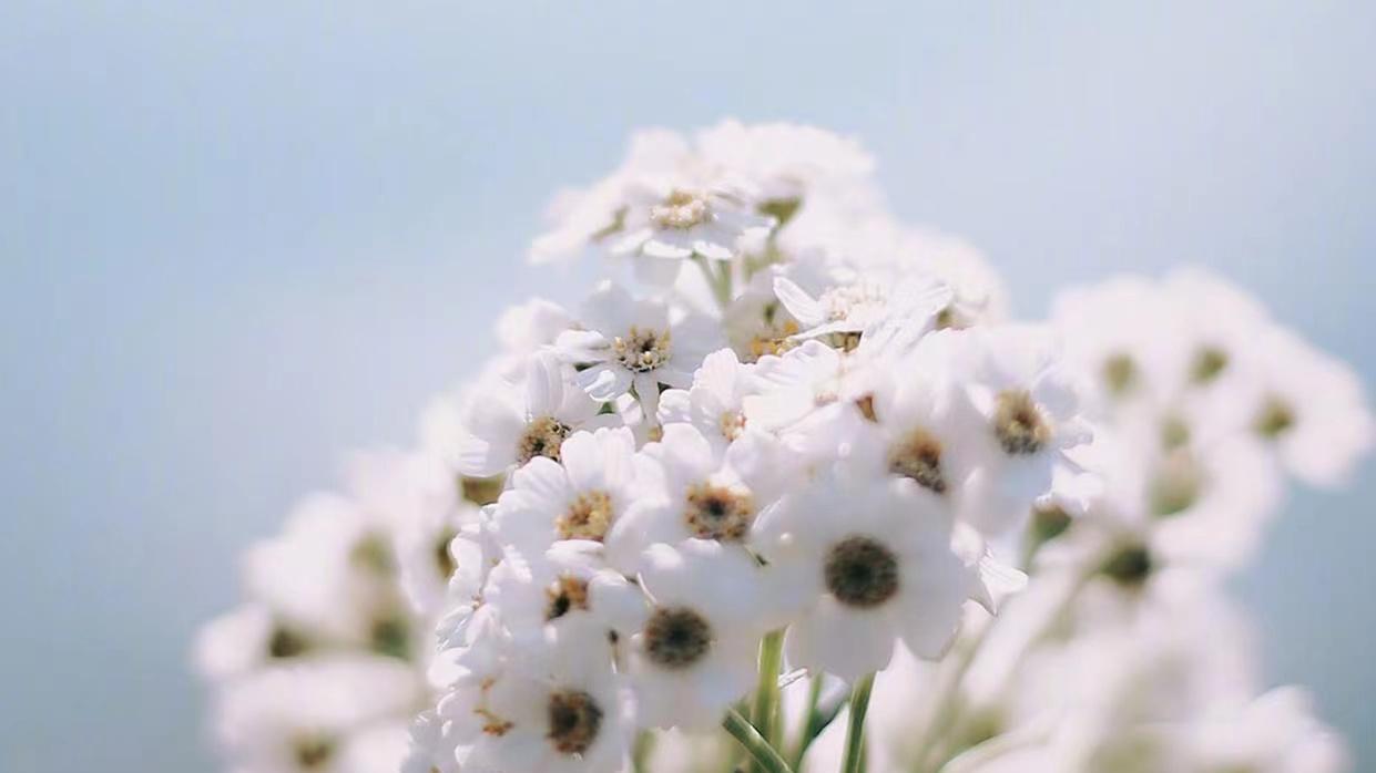 |职场里，这三个人，看似是好人，却为人最是虚伪